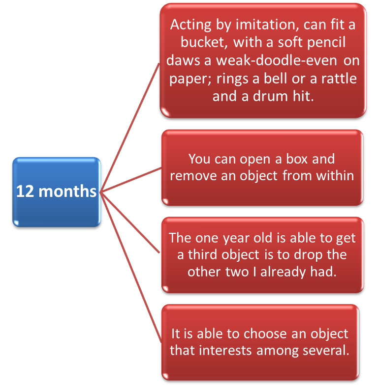 Evolution of motor function between 12 years Evolution of motor