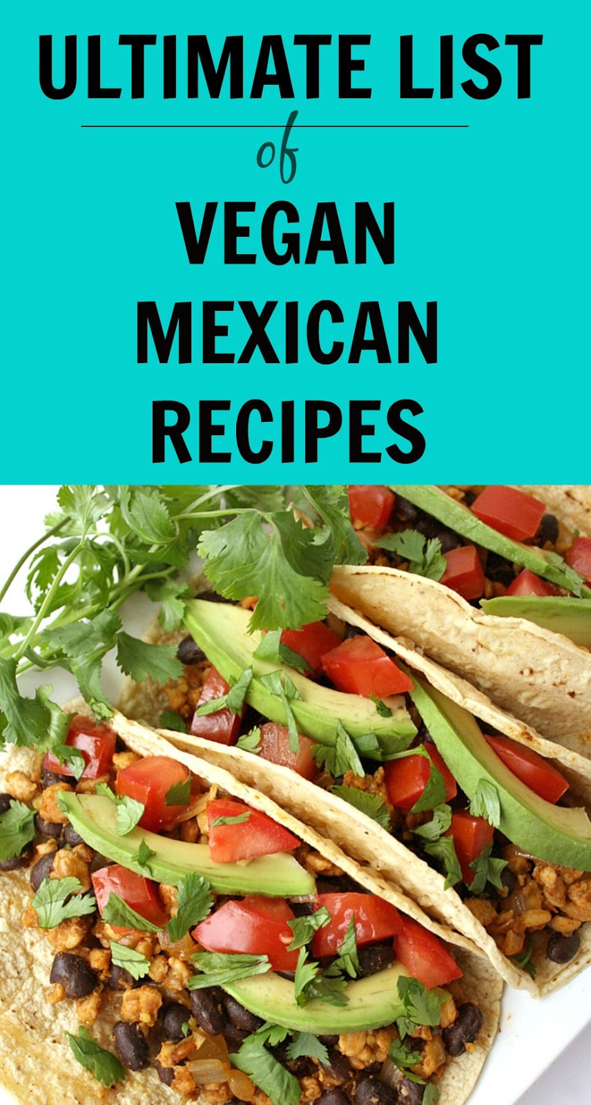 The Garden Grazer Ultimate List of Vegan  Mexican  Recipes  