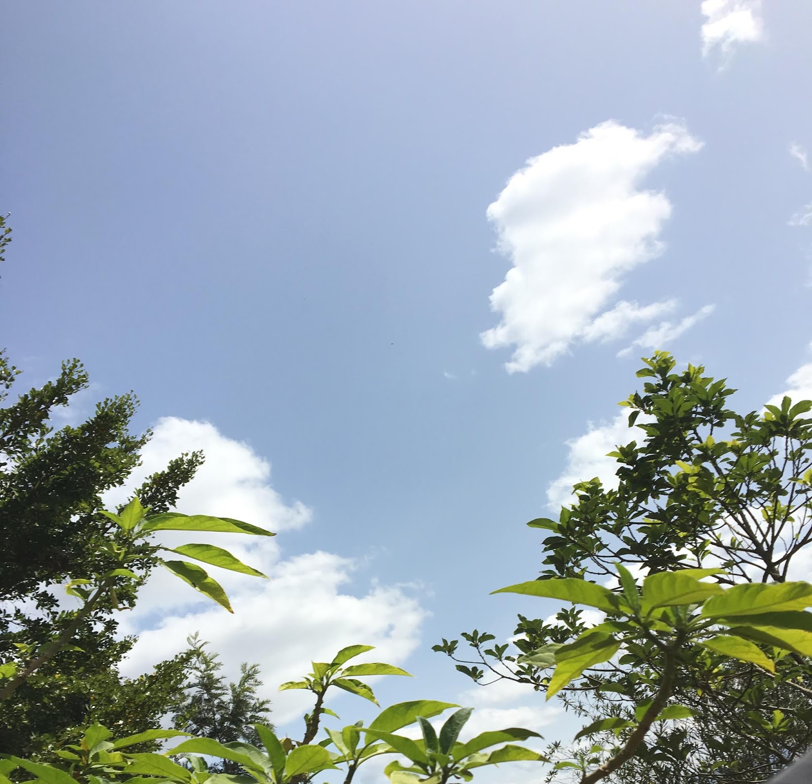 Mags in Kenya Kangundo Memories and One for the Record Books...