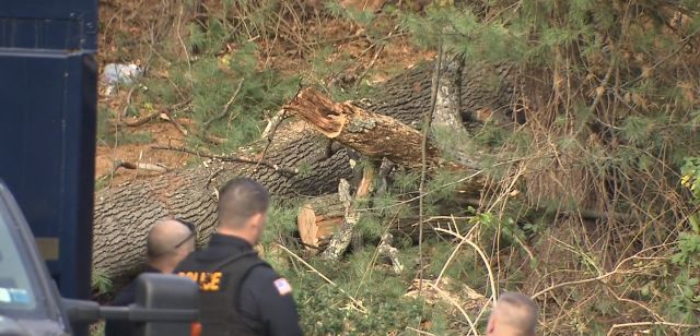 MEC&amp;F Expert Engineers 10/27/16