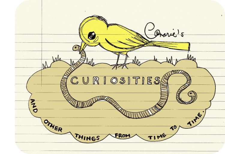 Canarie's Curiosities