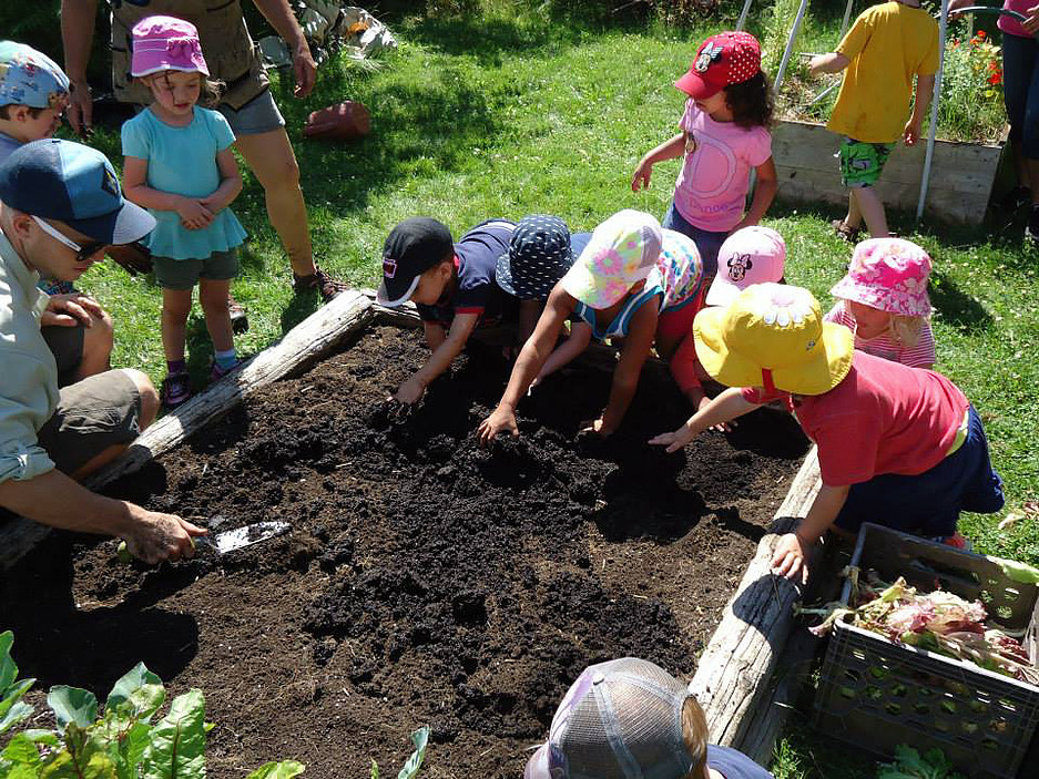 Discovery Child Care Blog Five Easy Plants Children Love to Grow