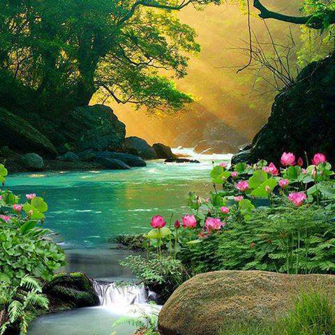 beautiful natural hd wallpapers