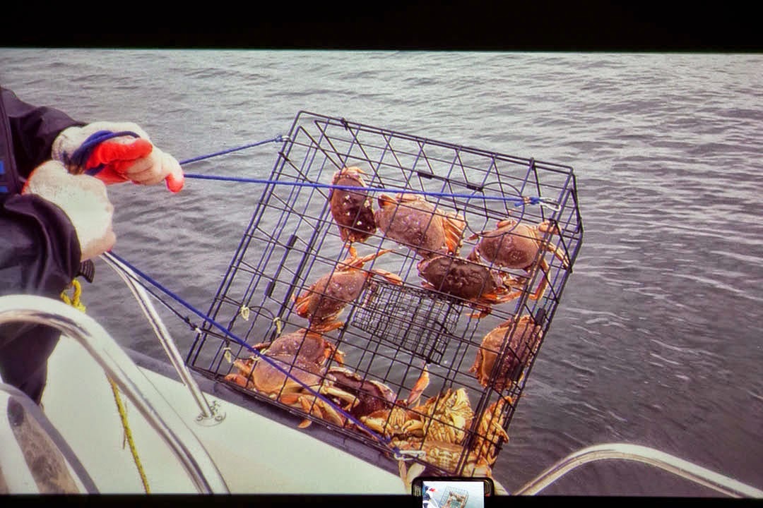 Peter's MVIS Blog: Why mobile companies MUST use PicoP