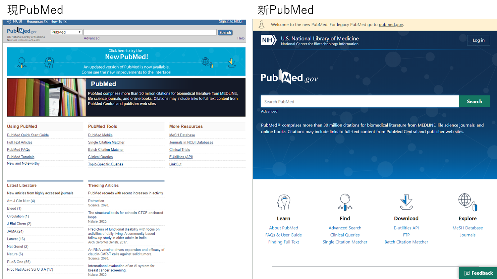 responsive responsive
