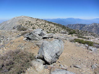 View east toward Mt. Baldy from West Baldy