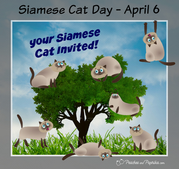 Peaches And Paprika National Siamese Cat Day Parade