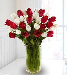 bunga tulip merah & putih Rangkaian Bunga Tulip