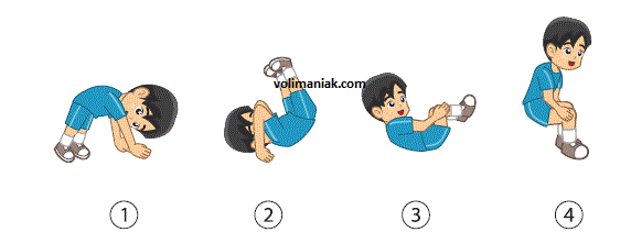 Cara Melakukan Rol Depan Dengan Benar Permainan Bola Voli