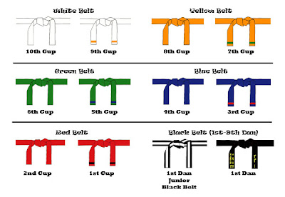Taekwondo at Olympics: Taekwondo Ranks and Belts (III)