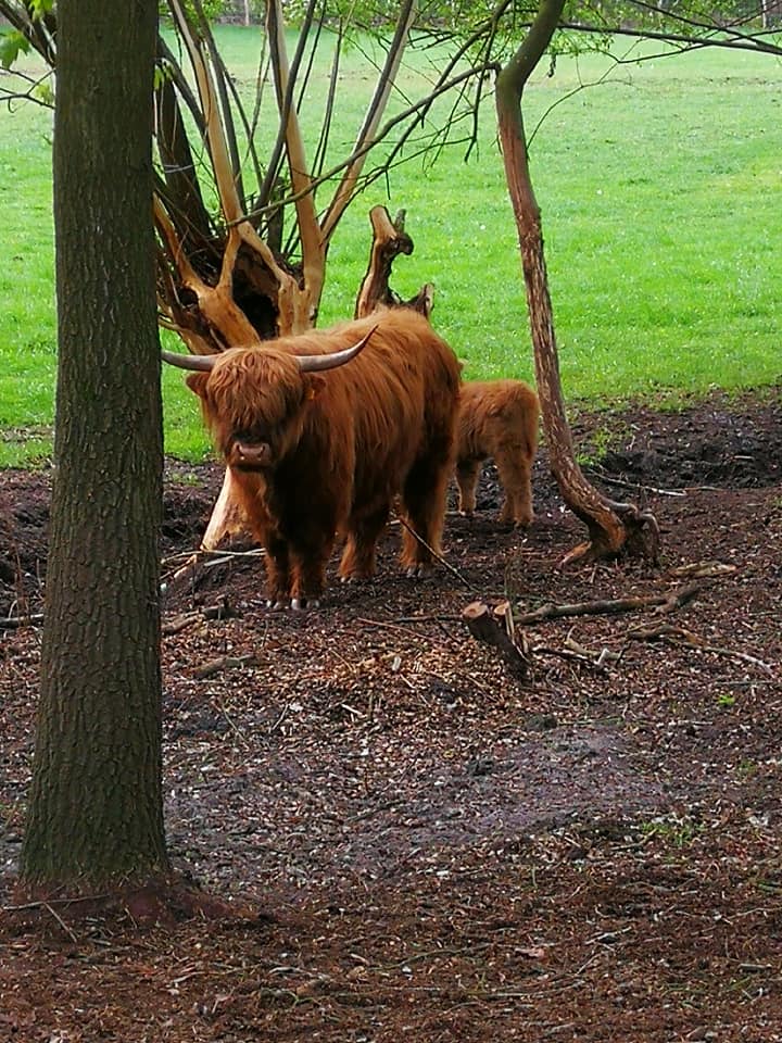 Nieuws Heusden Zolder Alles Wat Leeft En Gebeurt 04 28 19