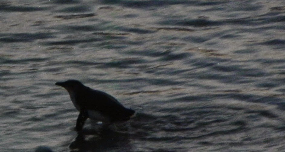 DSCN9758.JPG