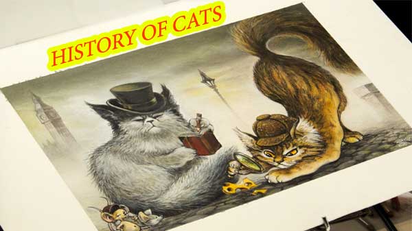 HISTORY OF CATS