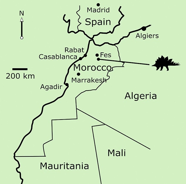 Species New to Science [Paleontology • 2019] Adratiklit boulahfa