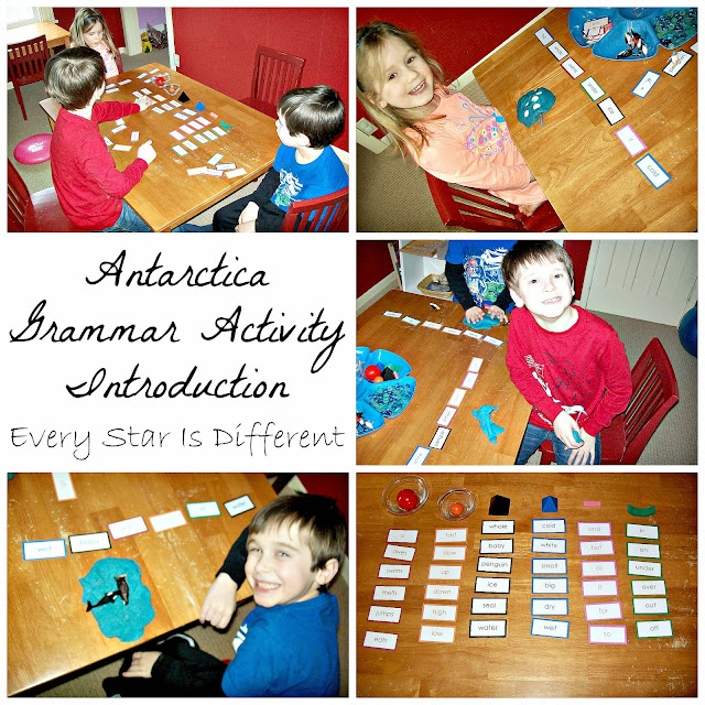 Antarctica Grammar Activity