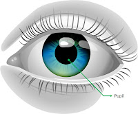 Pupil (pupil) Pupil (pupil)
