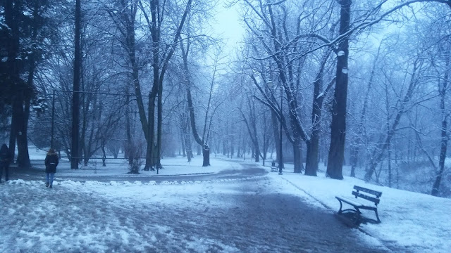 Wieliczka Park pierwszy śnieg