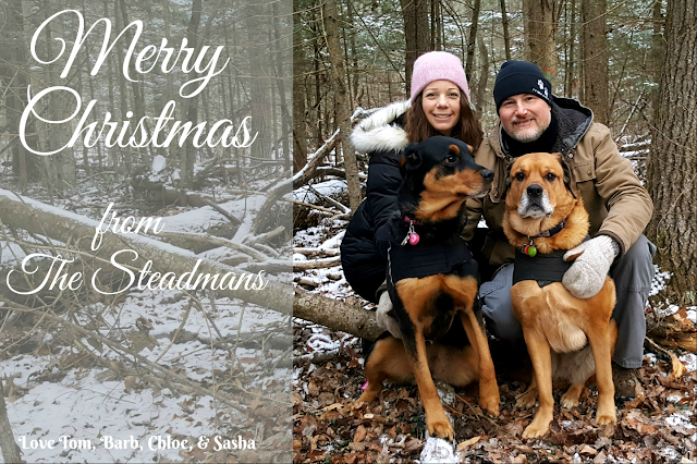 family christmas card forest rottweiler family christmas card forest rottweiler