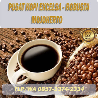 kopi excelsa mojokerto