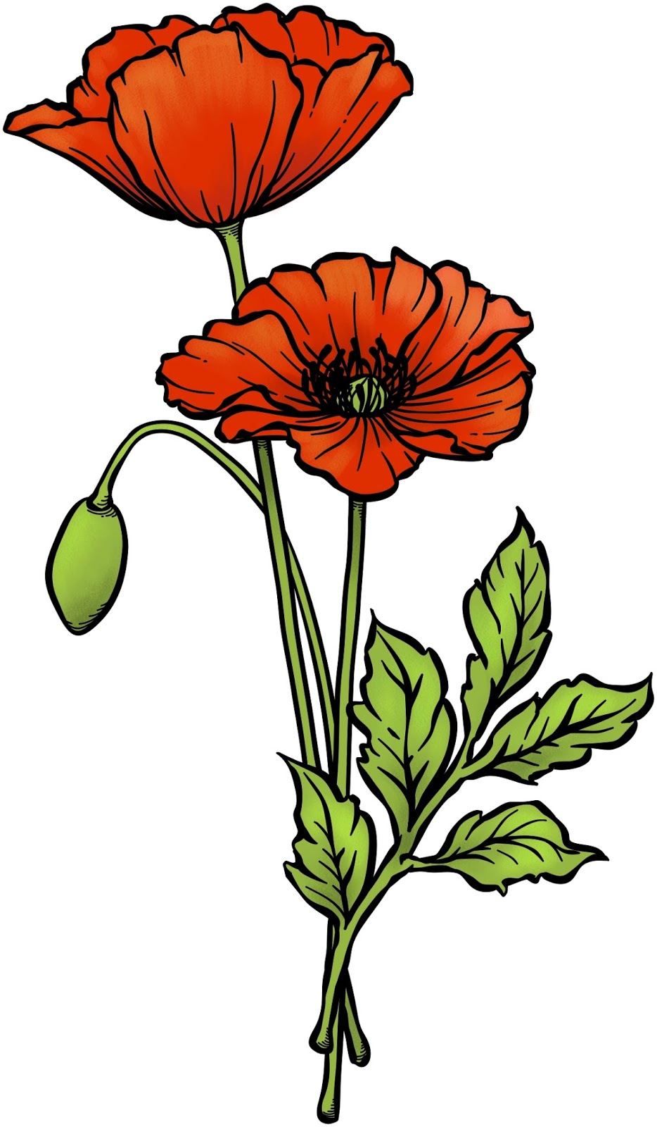 Beccy's Place: Poppies