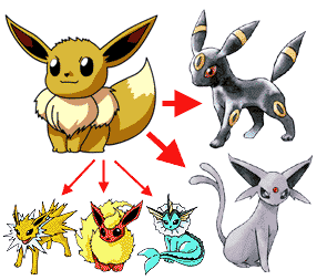 Como evoluir Eevee para todas as suas formas com ataques