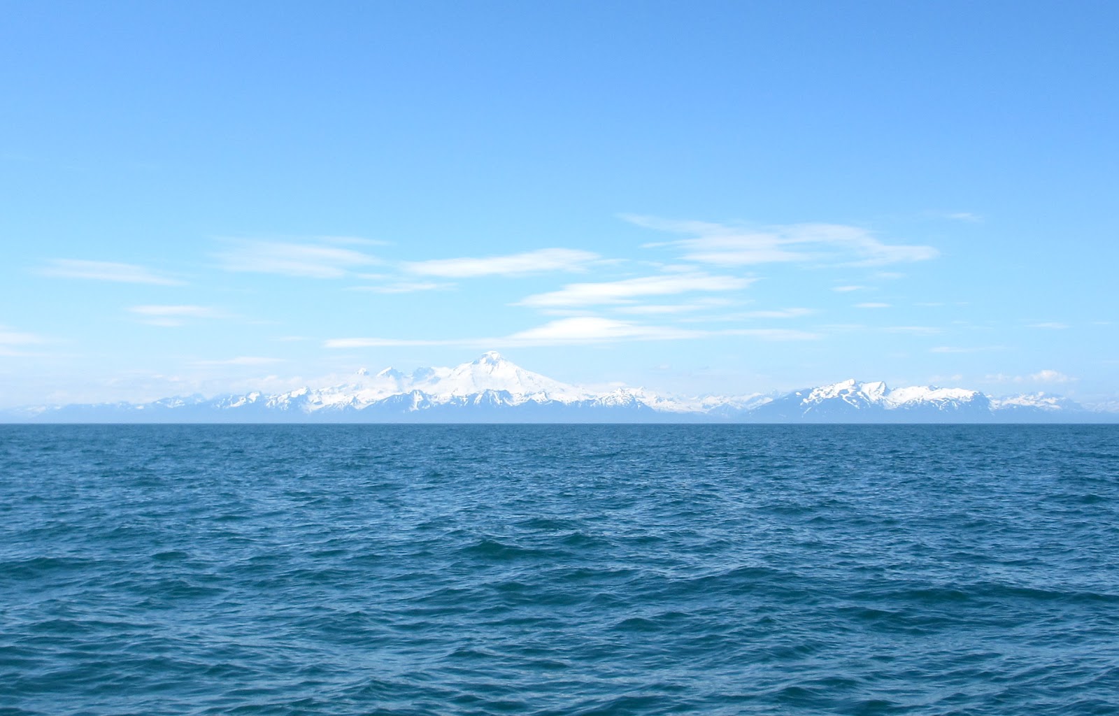 Progressive Alaska Fishing for the Halibut at Deep Creek