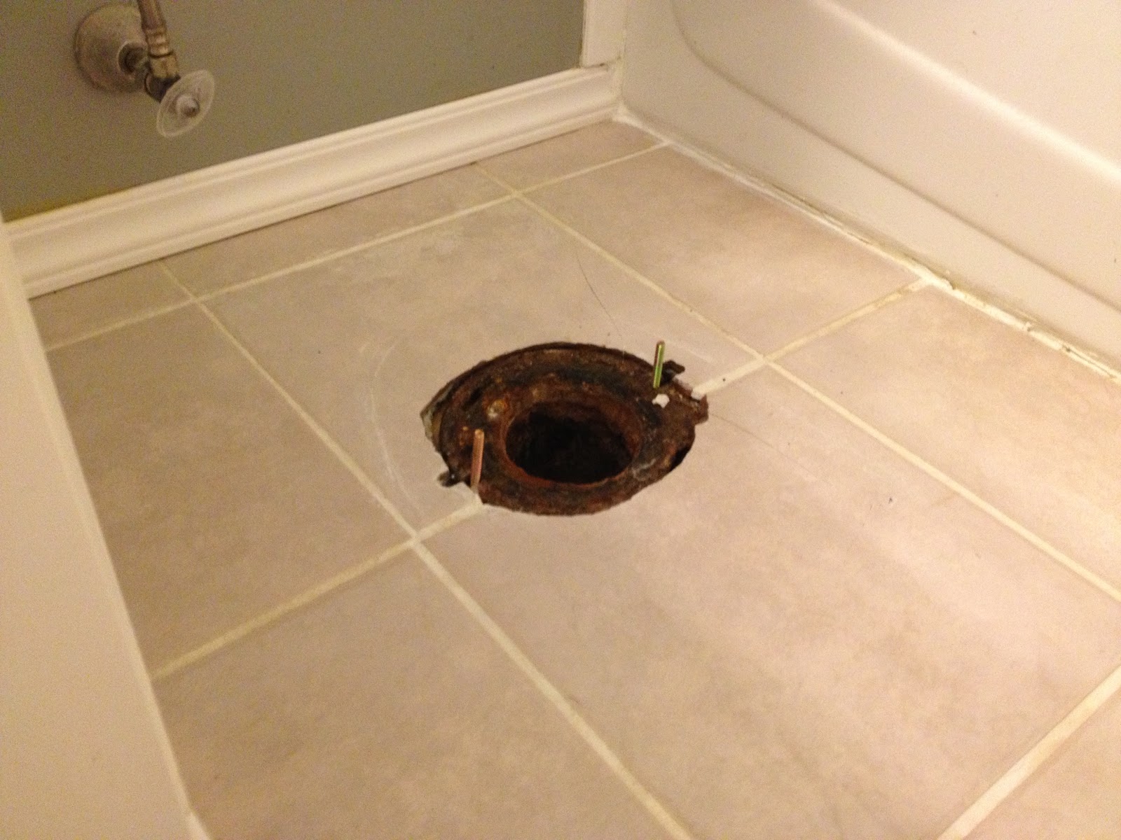 Charlie and his human Charlie and I are plumbers