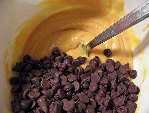 Pumpkin Mixture with Chocolate Chips Added