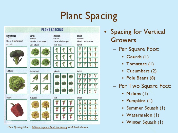 Little Blog in the Burbs: Quickie Chart for Square Foot Plant Spacing