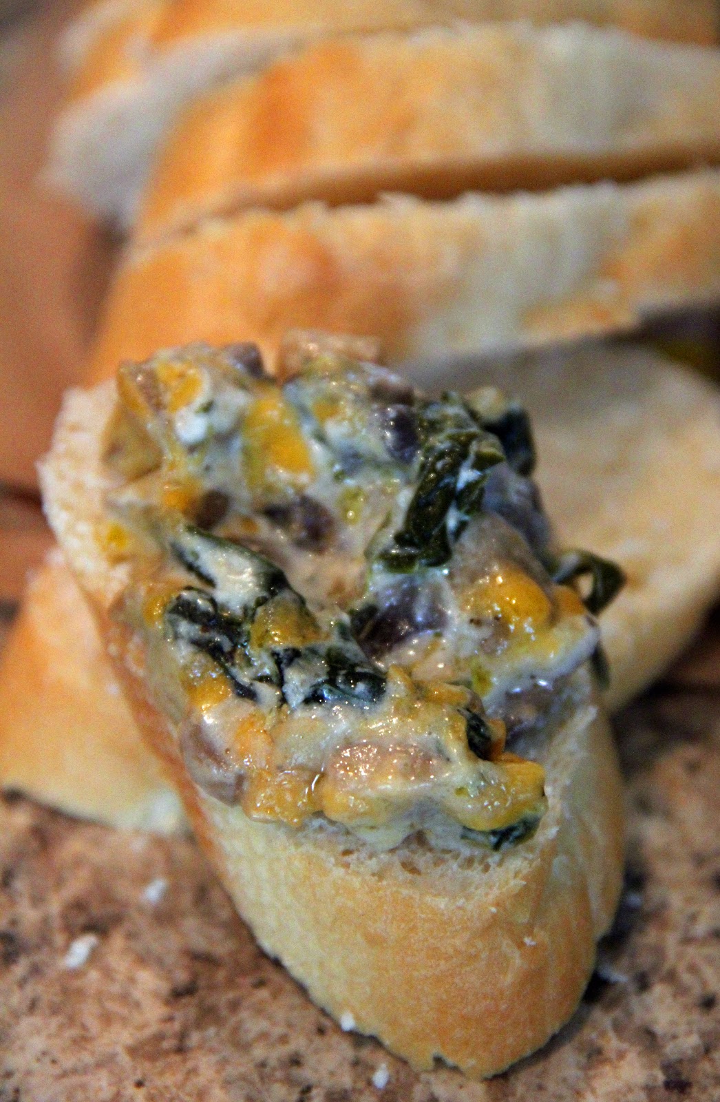 Jo and Sue Sour Cream Mushroom Dip