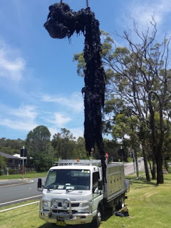 ONE TON WET WIPES WAS PULLED OUT OF PIPE IN AUSTRALIA