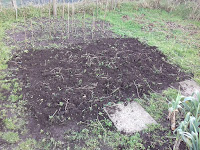Allotment Growing Bed For Peas