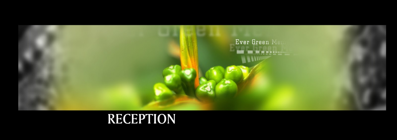 Free Photoshop Backgrounds High Resolution Wallpapers Templates