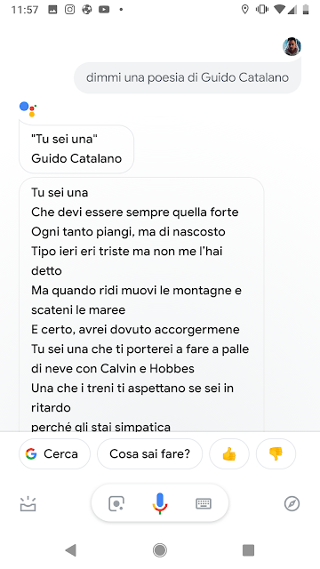 Immagine di lettura della poesia sull'Assistente Google.