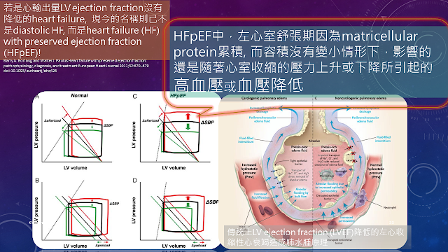 martricelluar protein accumulation in HFpEF, KY Chen 2017