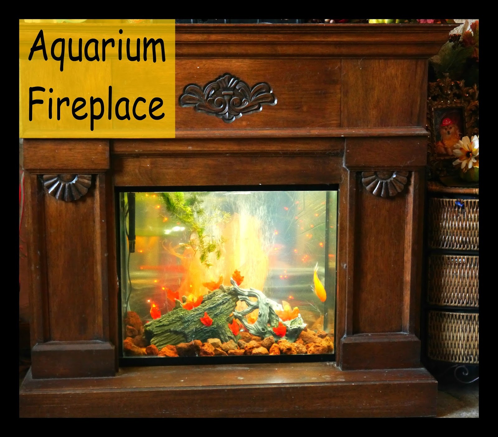 Suzy Homefaker Aquarium Fireplace