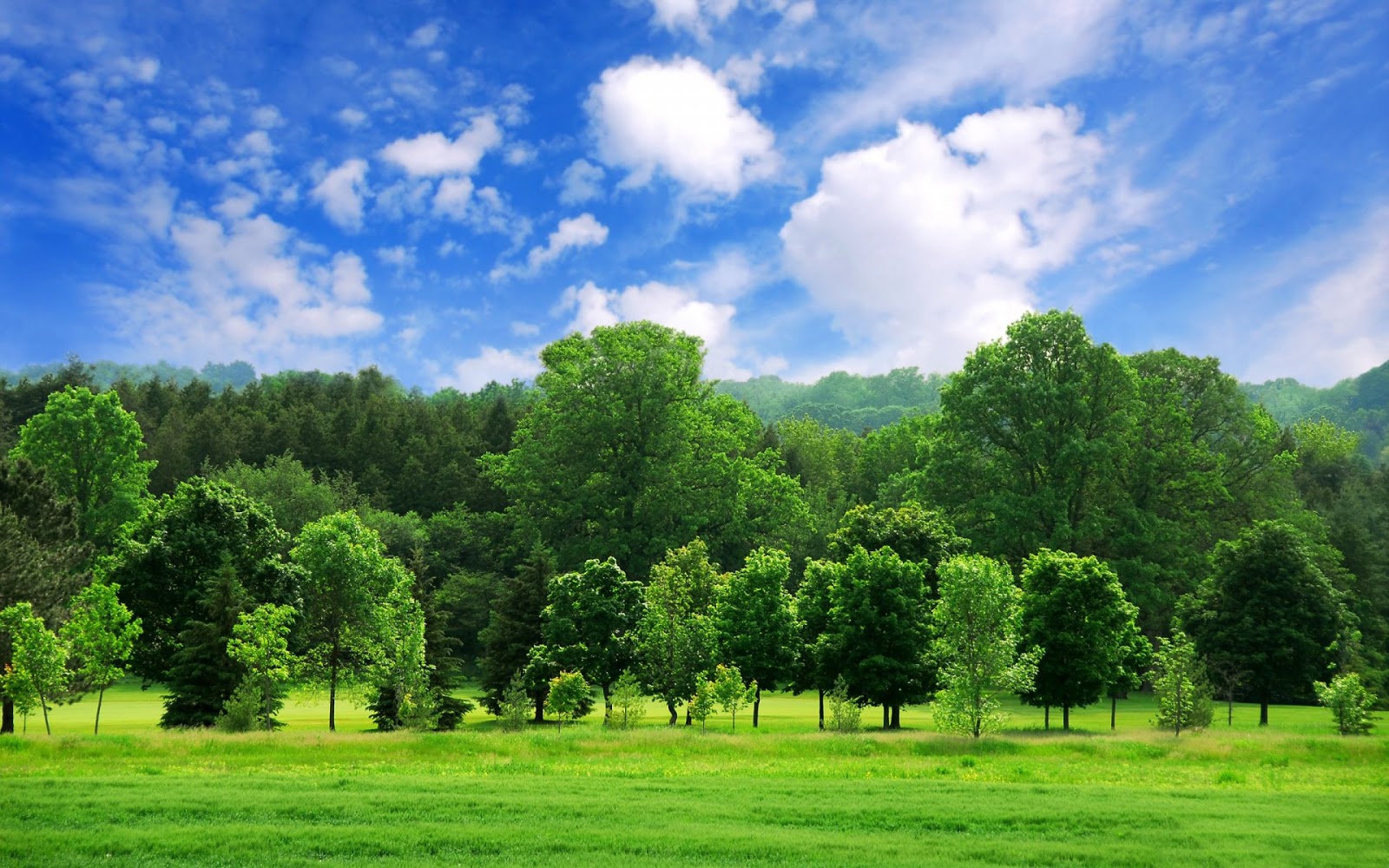 Green Summer Landscape Wallpaper