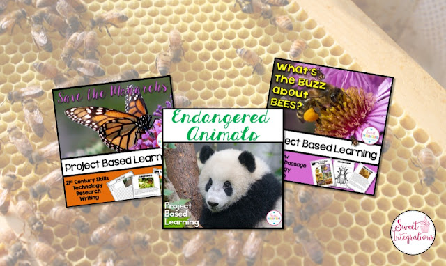 Spring Project Based Learning is a great, hands-on way to get your students thinking about and solving real world problems. This post shows you PBL units about the environment, endangered species, and economics. These will work great for your upper elementary 3rd, 4th, or 5th grade classroom or home school students. You'll be covering the curriculum standards AND 21st Century learning skills. What more could you want? {third, fourth, fifth graders, springtime}