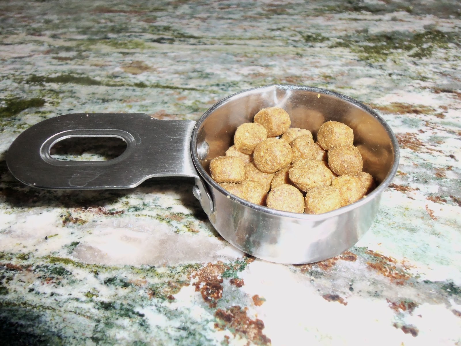 Out & About What's a 1/4 cup of kibble? Part 3 of 4