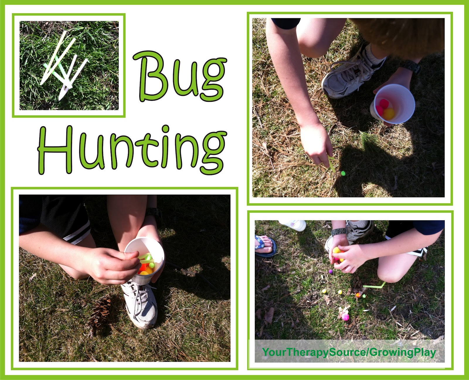 Growing Play Bug Hunting