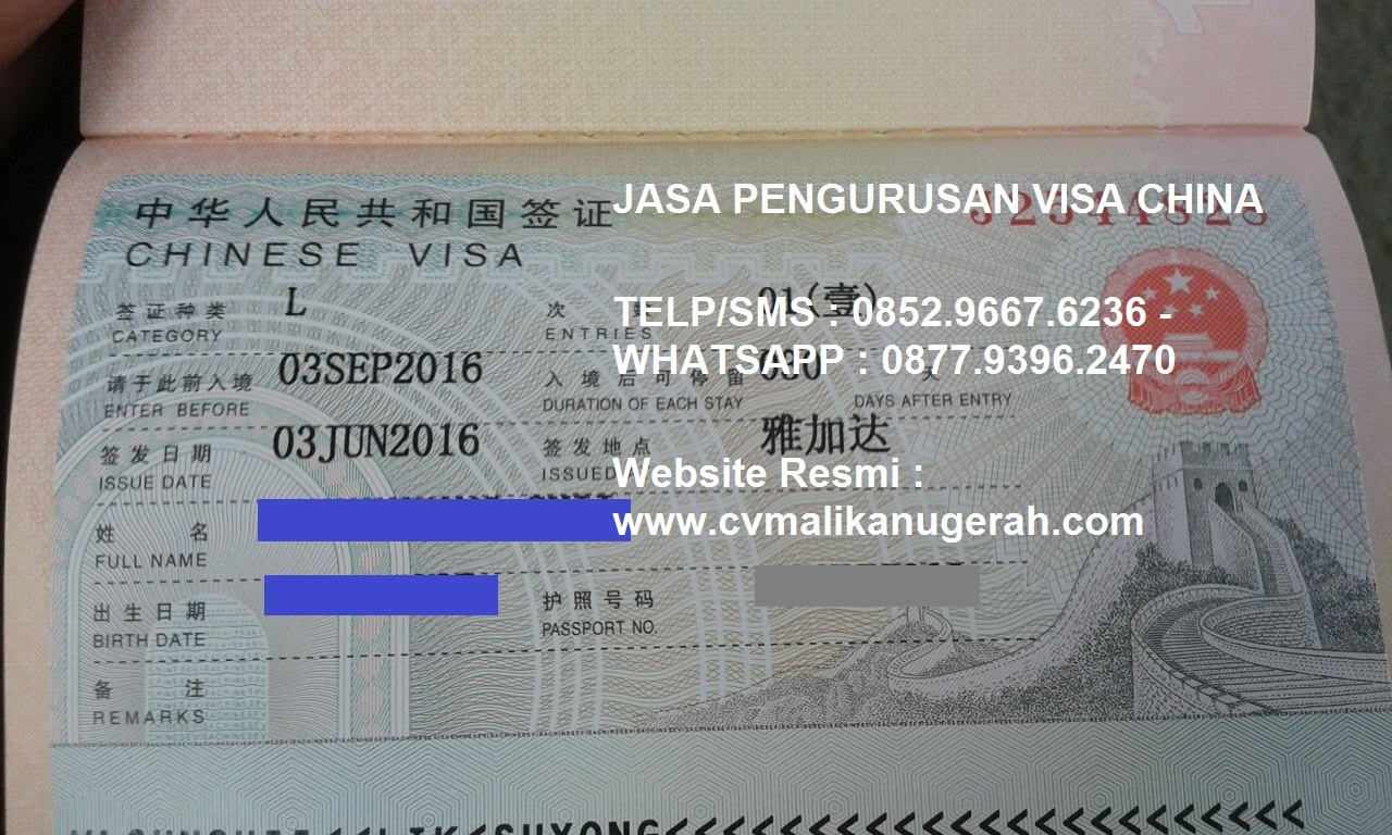 Visa в китай. Китайская виза. Виза в Китай. Китайская виза требования. Фото на визу в Китай.