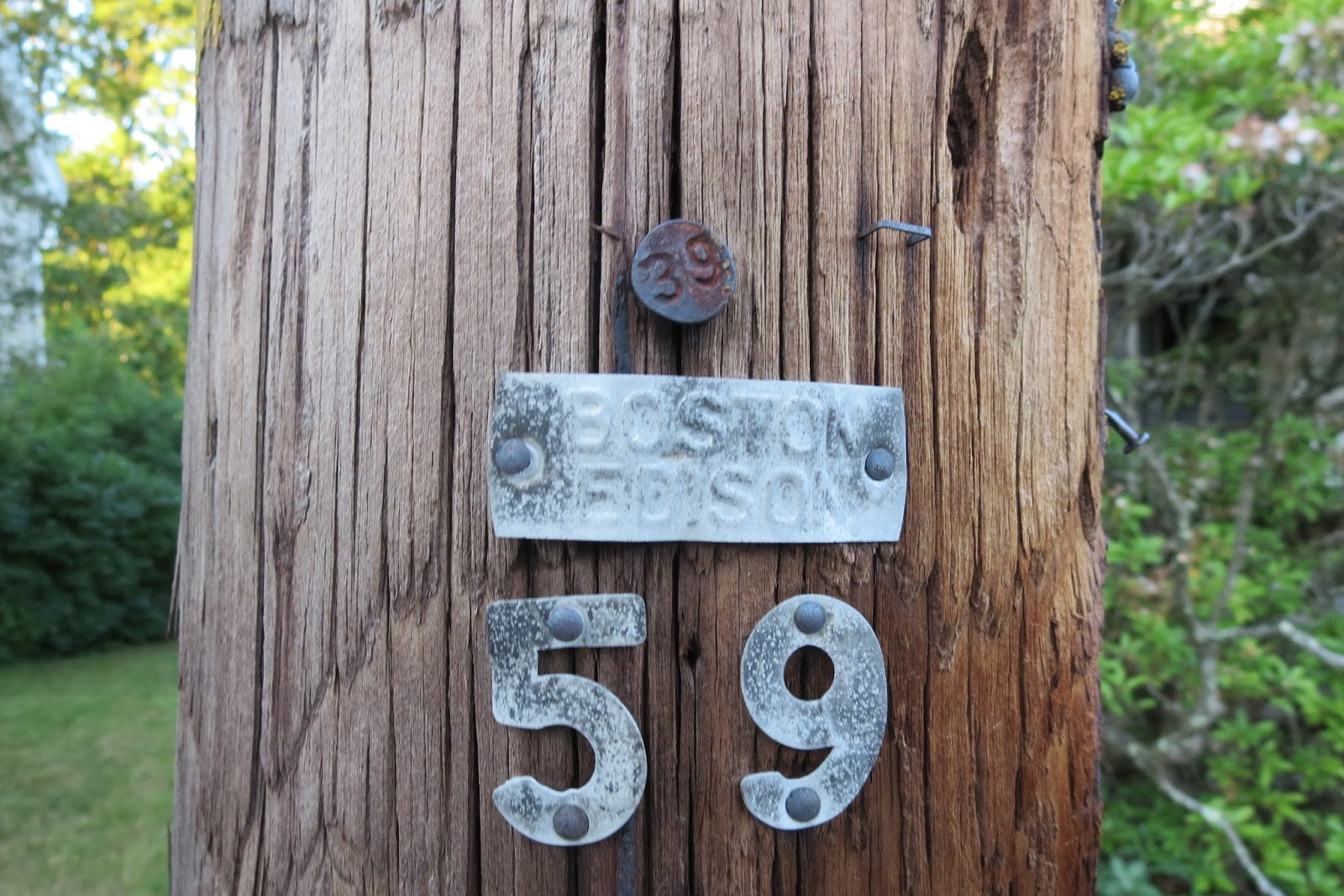 Maynard Life Outdoors and Hidden History of Maynard June 2016