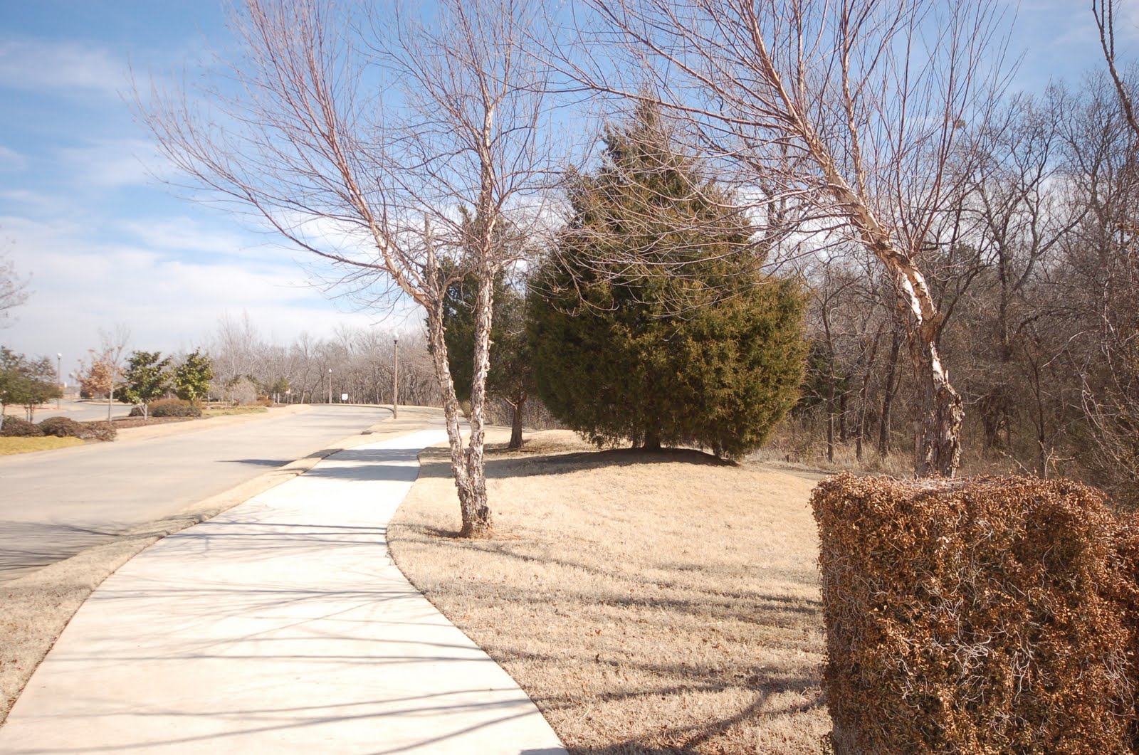 Denton Texas Real Estate For Sale Homes for Sale in Denton Texas