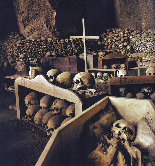Le cimetière souterrain des Fontanelles à Naples  Zhfff