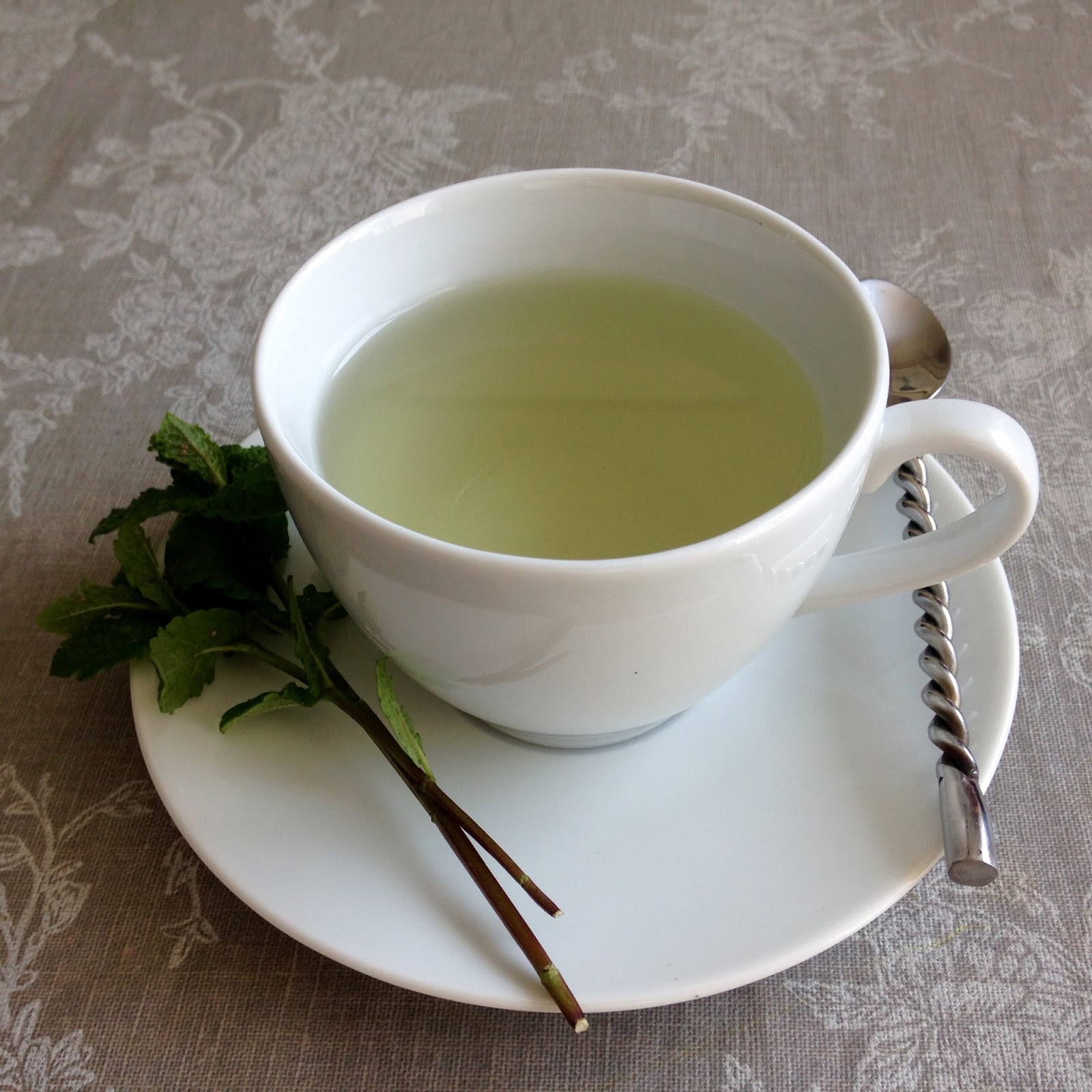 Fresh Lavender Mint Tea Maison Jen