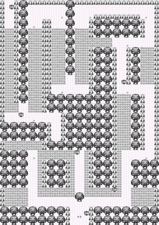 The Field Guide to Pocket Monsters Route 2 and Viridian Forest