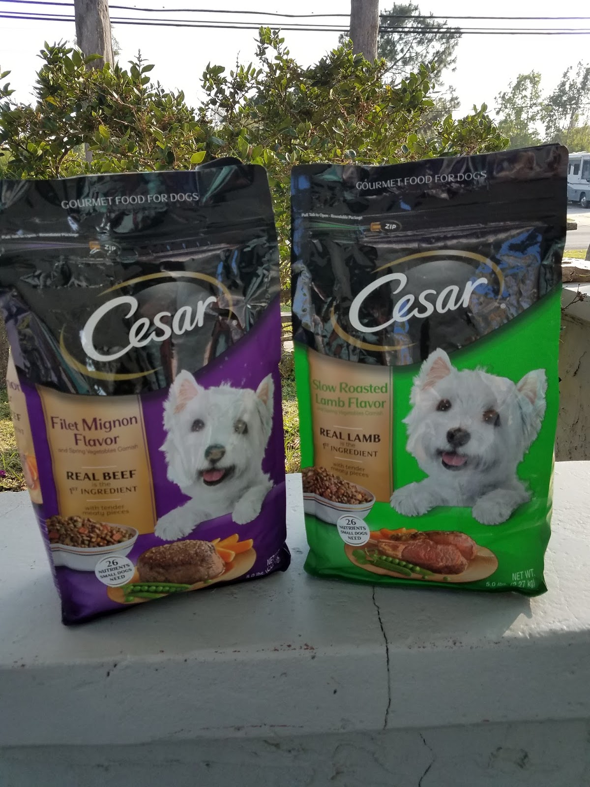 Will Dry Dog Food Go Bad