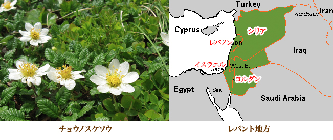 地球人のルーツ 5章19 ②