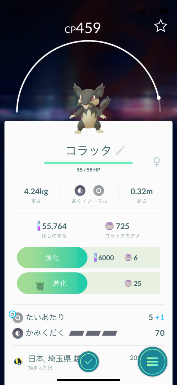 メシアブログ ポケモンgo アローラのすがたコラッタ