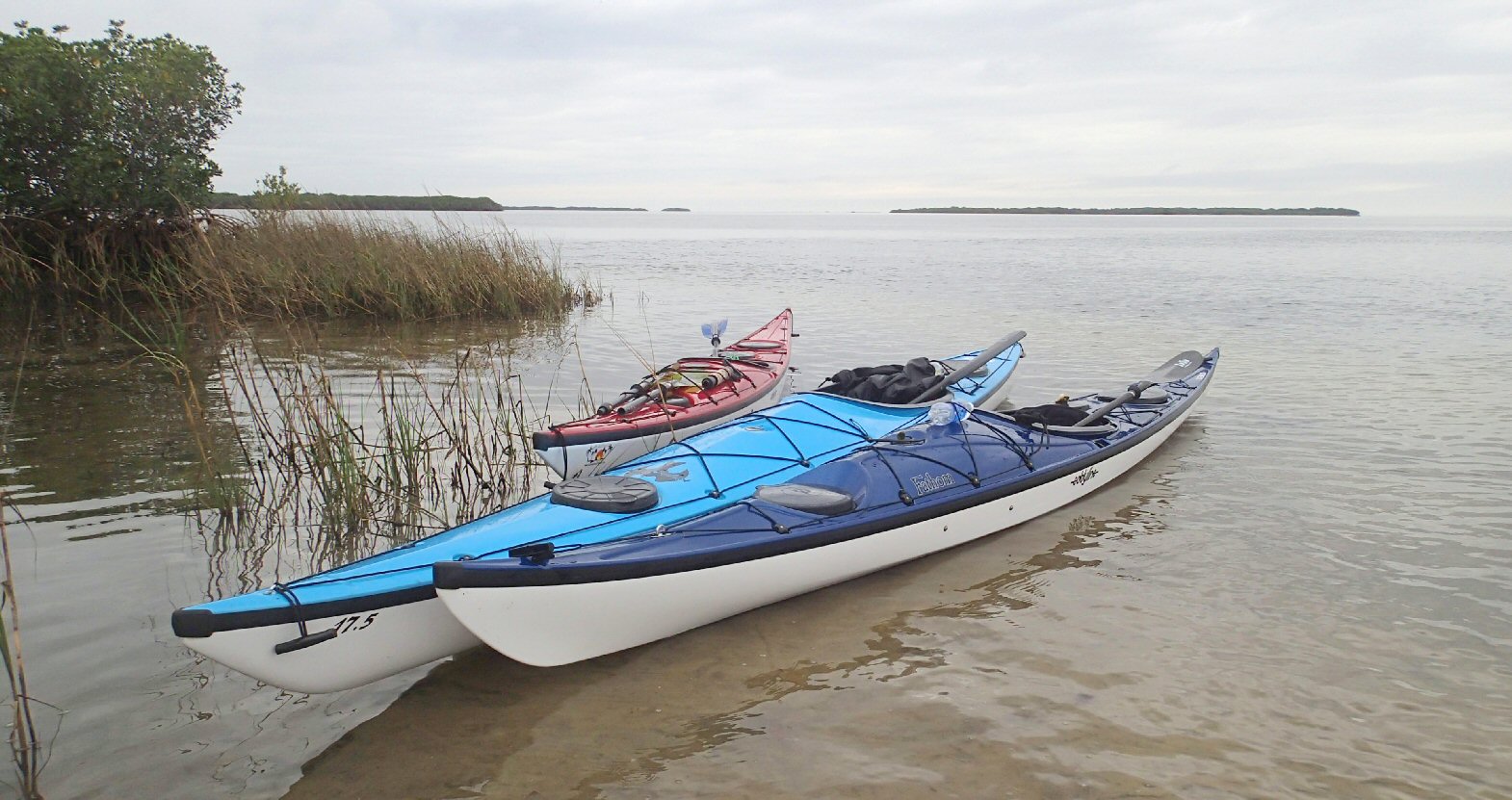 PenobscotPaddles Florida Ozello with Aardvark's Florida Kayak Company